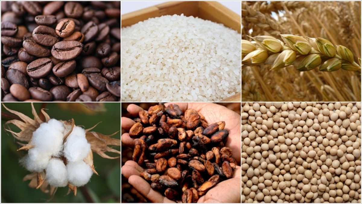 Emtia Piyasası Sert Dalgalanmaların Olduğu Bir Yılı Geride Bıraktı