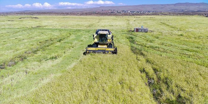 Tarım Sektörü 2022 Yılını Rekor İhracatla Tamamladı