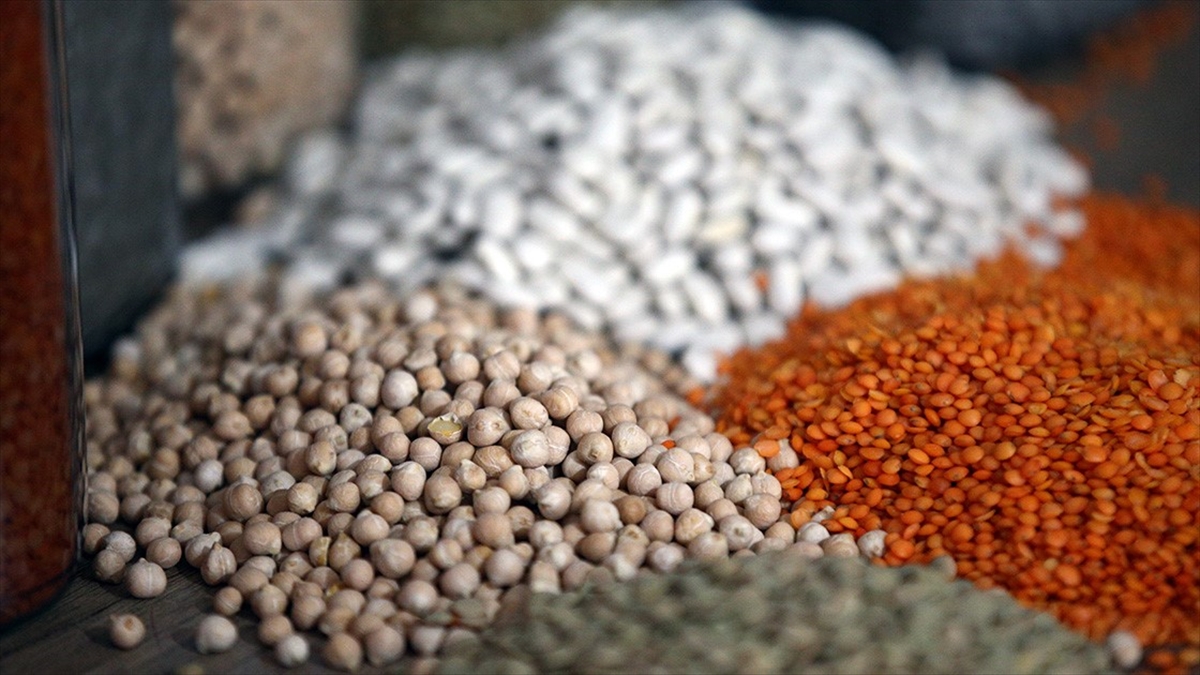 Hububat Ve Bakliyat İhracatı 11,5 Milyar Dolara Ulaştı