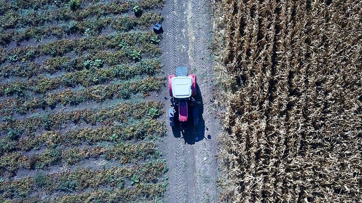 Uygulamalı Çiftçi Eğitimleri 16 Ocak'ta Başlayacak