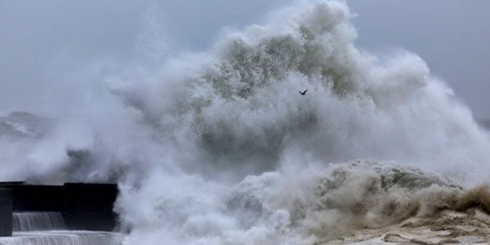 Ege'deki peş peşe depremler sonrası tsunami uyarısı