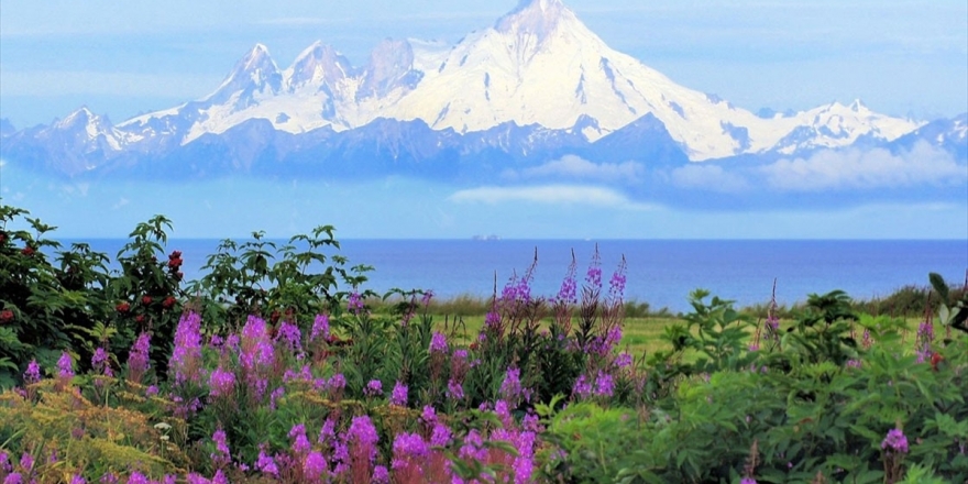 Alaska'da Tüm Zamanların Sıcaklık Rekoru