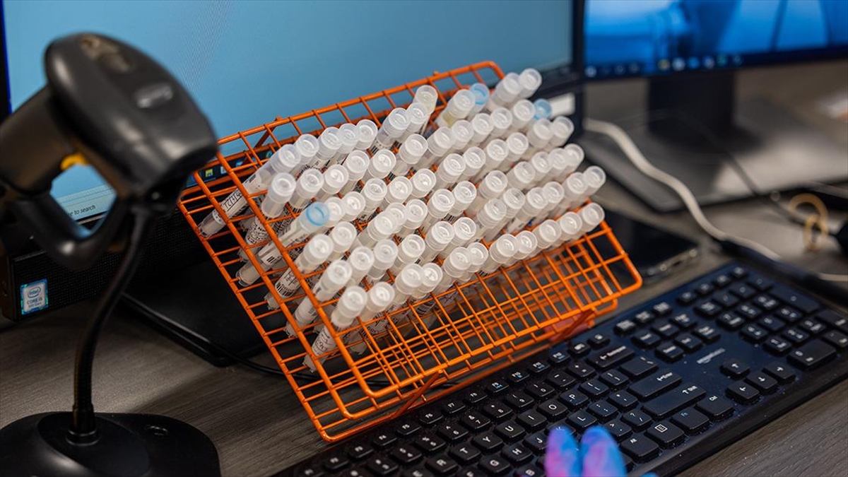 Çin, Yurt Dışından Gelen Yolcuların Kovid-19 Test Numunelerinde Dna İncelemesi Yapacak