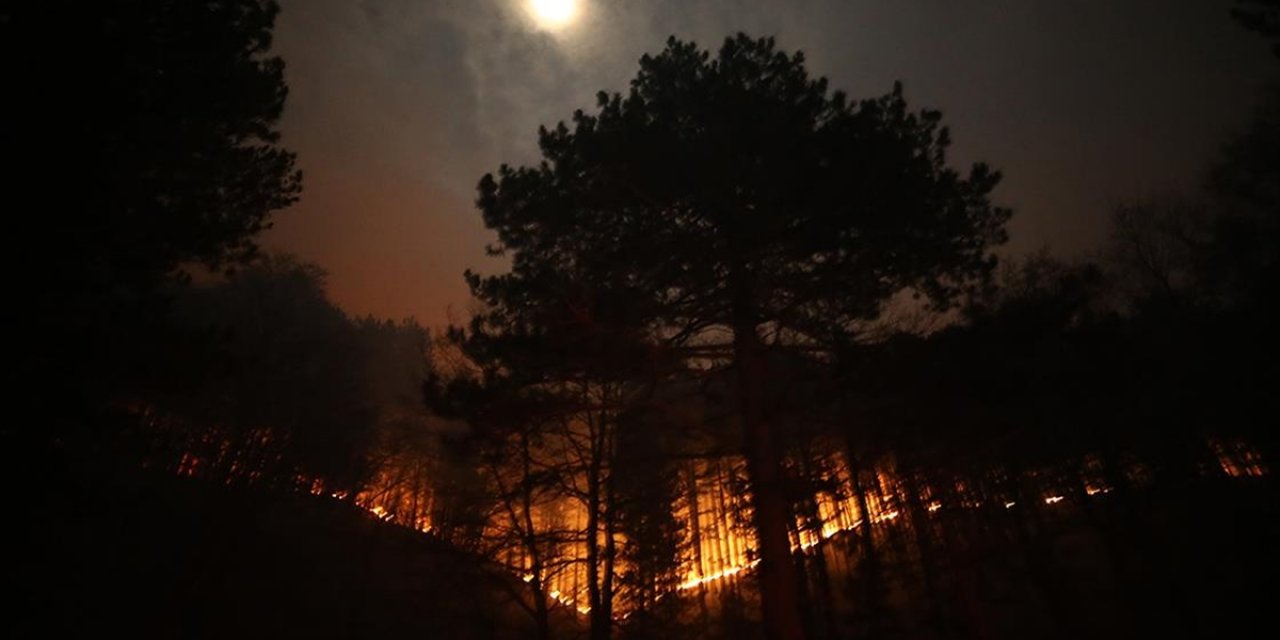 Kaz Dağları'nda Çıkan Örtü Yangınına Müdahale Ediliyor