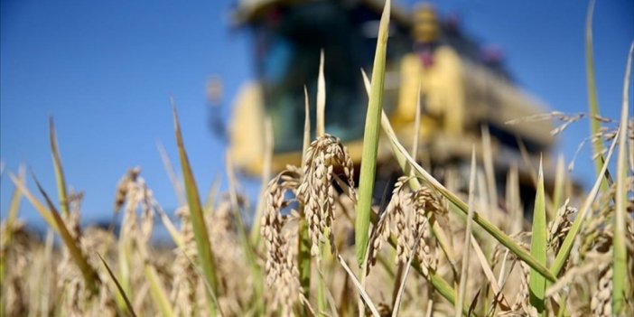 Uzman Ellerin Desteklenmesi Projesi'nde Hibe Desteğin Tutarı 250 Bin Liraya Yükseltildi