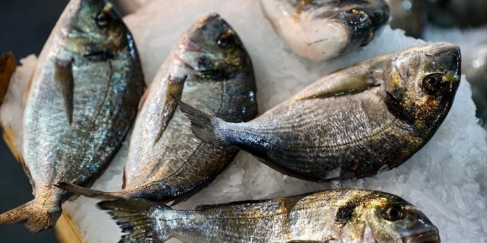 Türkiye'nin 2022'deki Su Ürünleri İhracatında Çipura, Levrek Ve Türk Somonu Başı Çekti