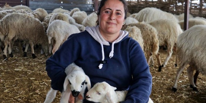 Ziraat Mühendisi Kadın, Devlet Desteğiyle Küçükbaş Hayvan Yetiştiriciliği Yapıyor