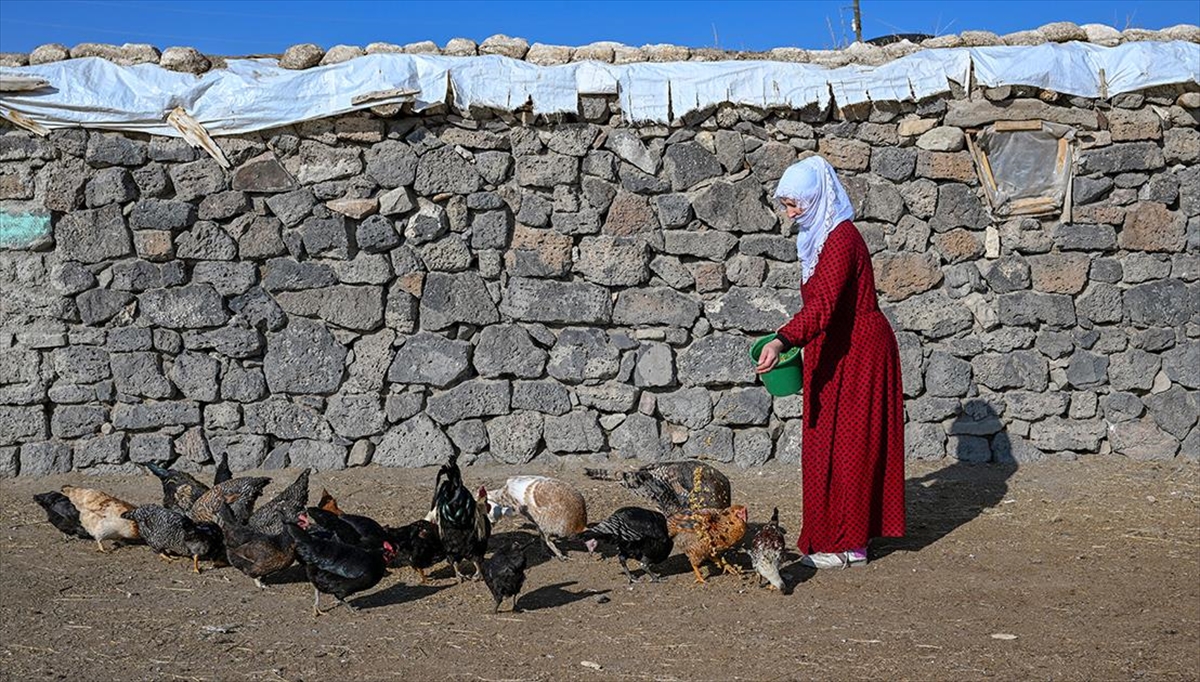 Geçen Yılın En Soğuk İlçelerinde Bu Sene Sıcaklıklar Arttı