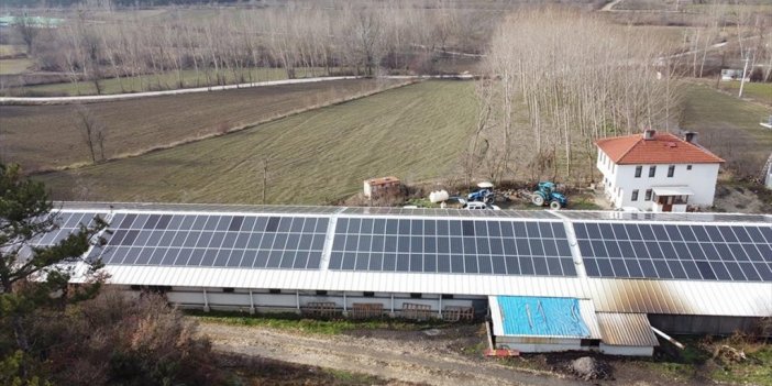 Bolu'da Tavuk Üreticileri Elektrik İhtiyacını Güneş Enerjisinden Karşılıyor