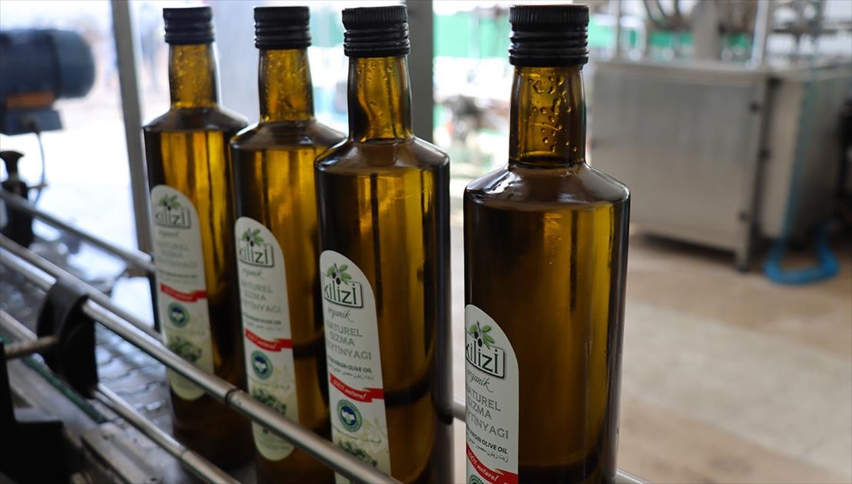Kilis Zeytinyağının Ab'ye Tescil Başvurusu Üreticileri Sevindirdi