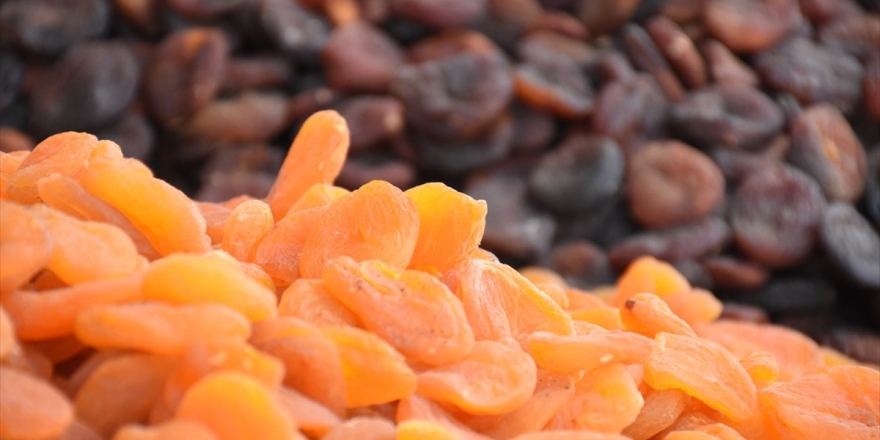 'Türkiye, Kuru Kayısı Üretimi Ve İhracatında Lider'