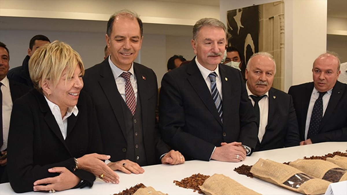 Tmo, İzmir Ticaret Borsası Aracılığıyla 12 Bin 500 Ton Kuru Üzüm Sattı