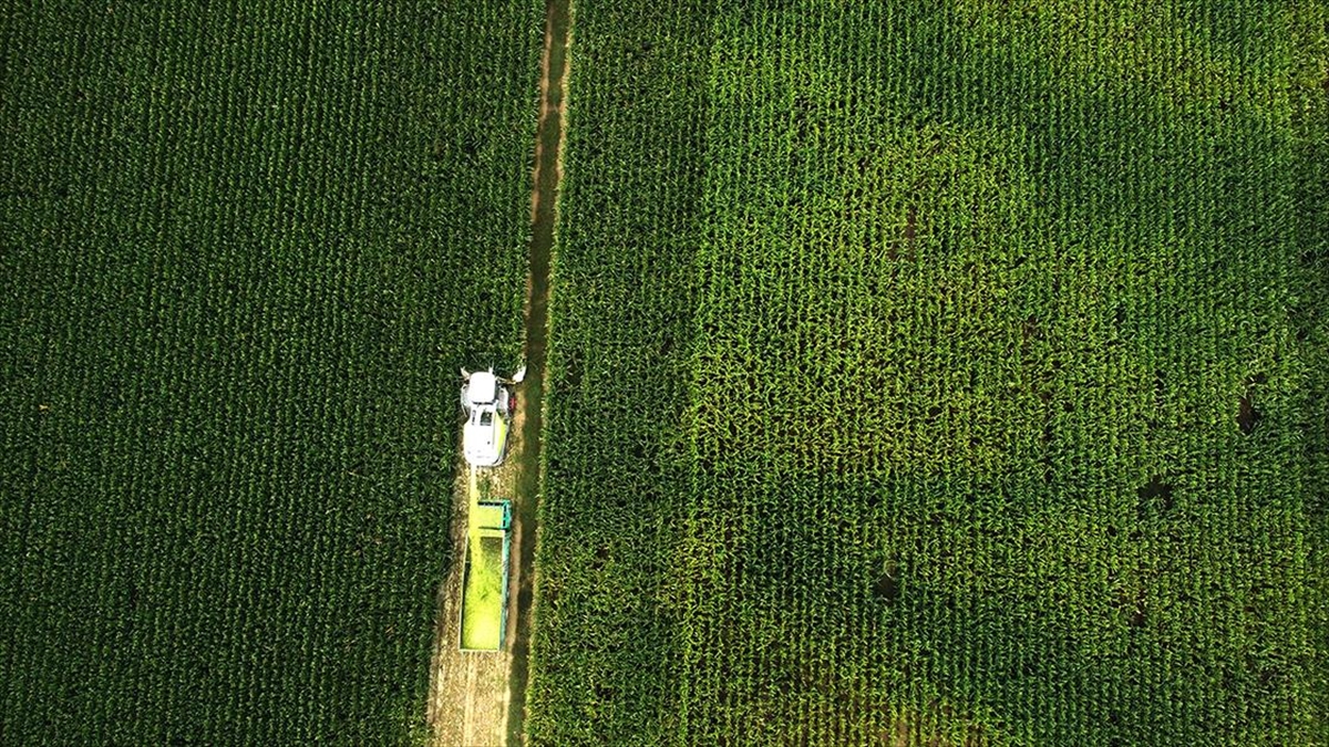 Türkiye'de 440 Büyük Ova Özel Koruma Kalkanına Sahip