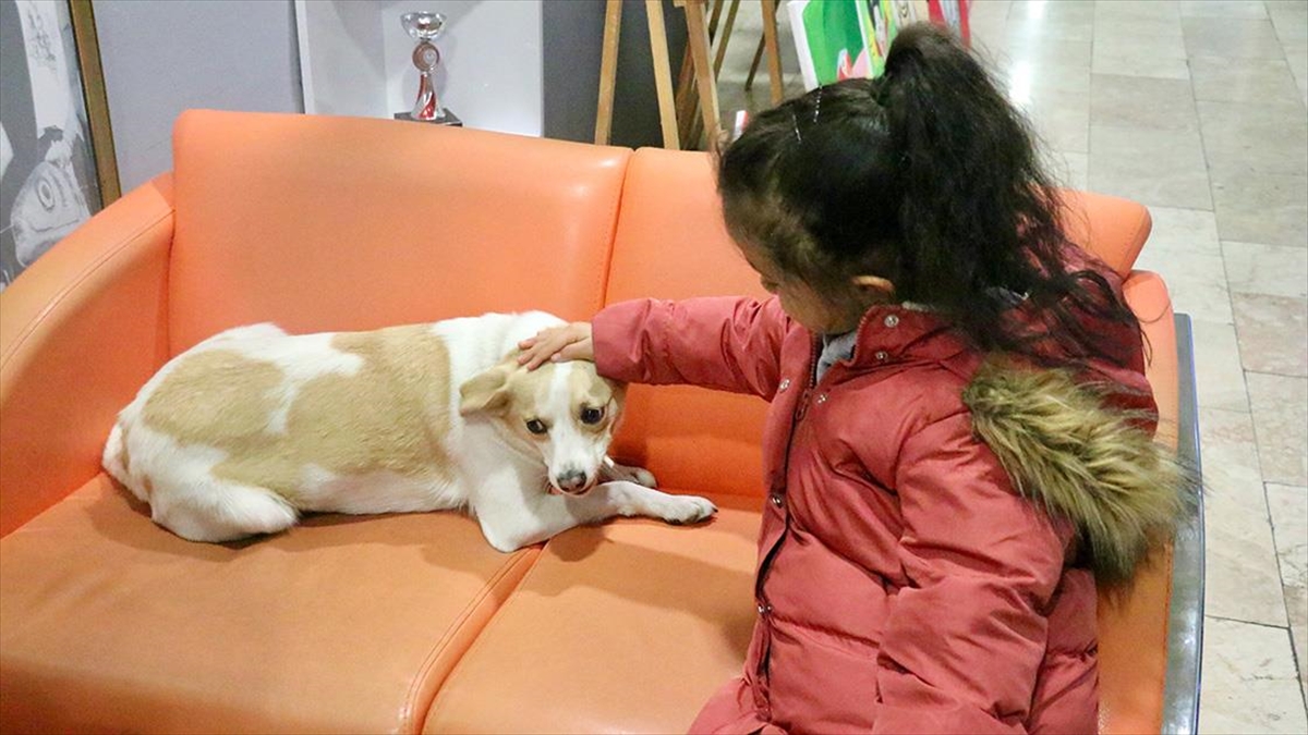 Gençlik Merkezince Sahiplenilen "şila", Çocukların Ve Gençlerin Dostu Oldu