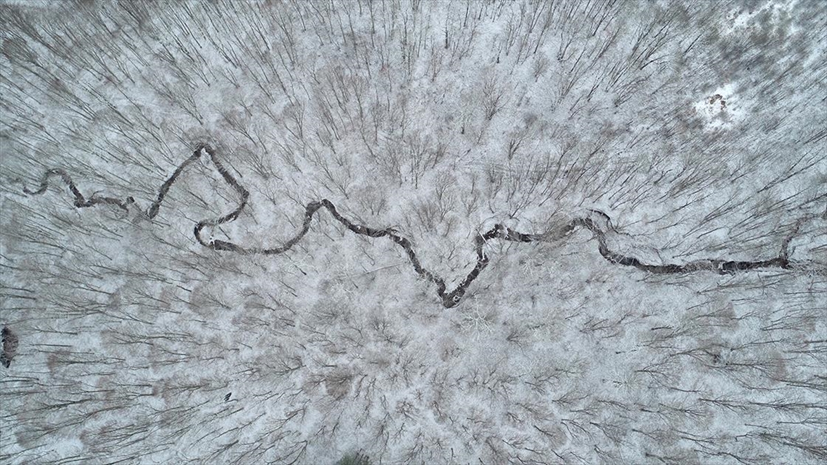 Kırklareli'nde Karla Kaplanan Istranca Ormanları Havadan Görüntülendi