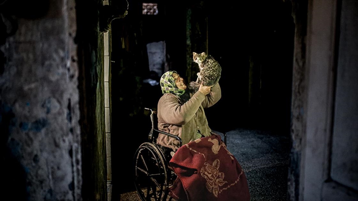 İdlib'de Savaş Mağduru Kadın Kedilerinden Vazgeçmiyor