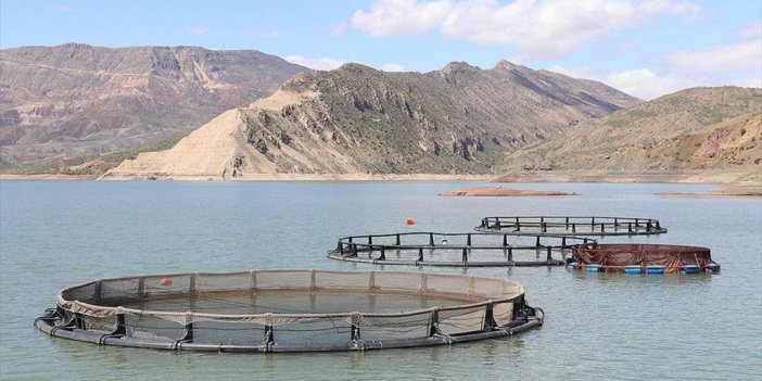 Baraj Göllerindeki Balık Yetiştiriciliğinde Ekolojik Durum Dikkate Alınacak