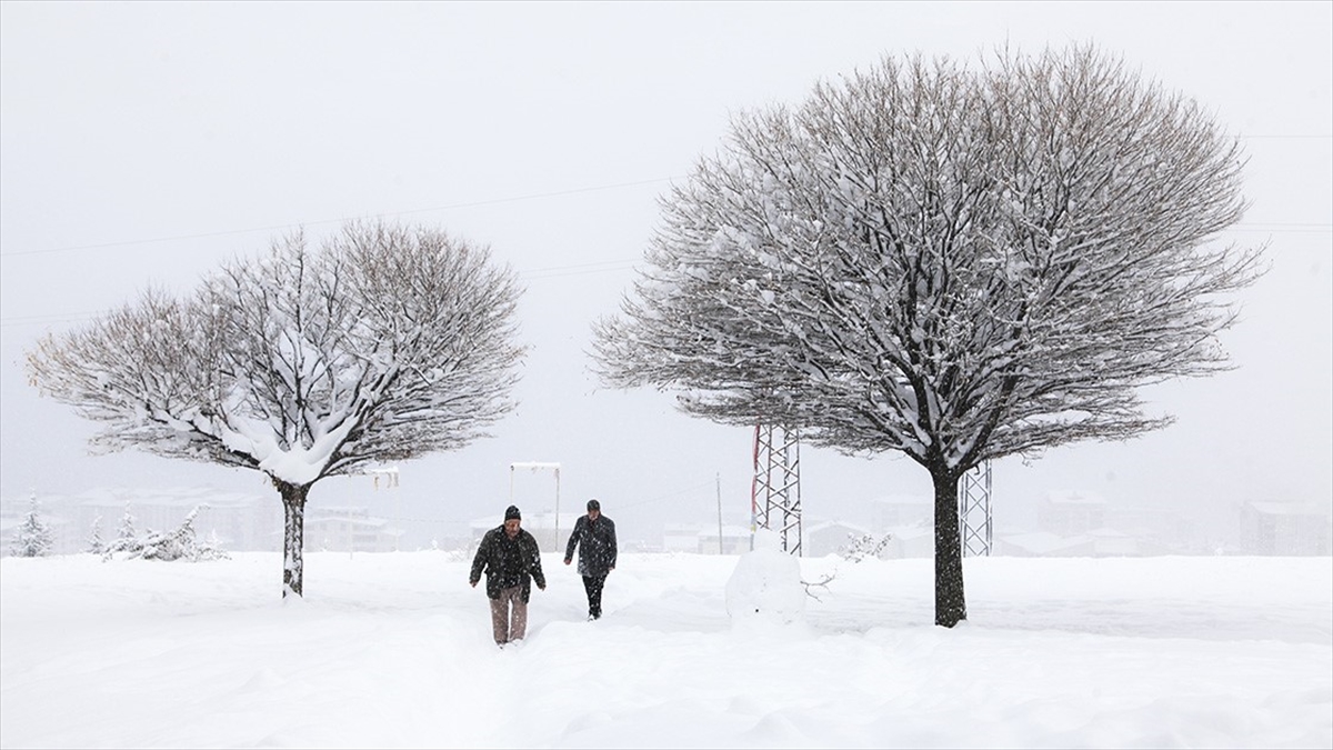 Doğu Anadolu Ve Doğu Karadeniz'de Yoğun Kar Bekleniyor