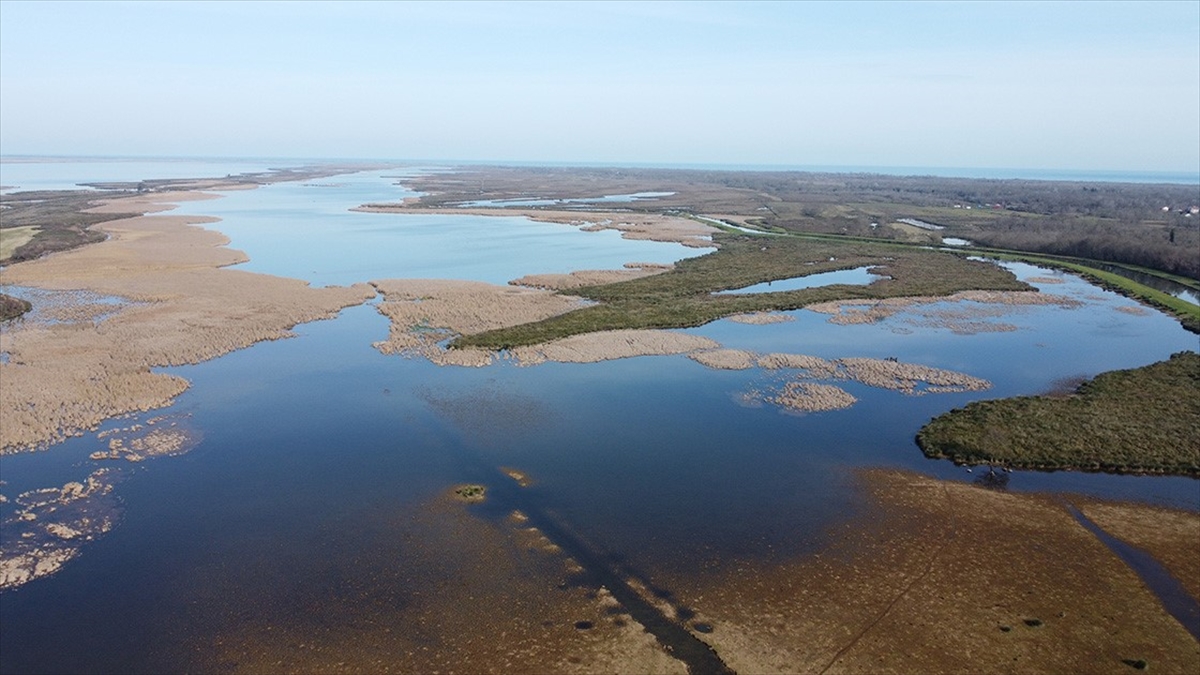 Türkiye'de 105 Sulak Alan Bulunuyor