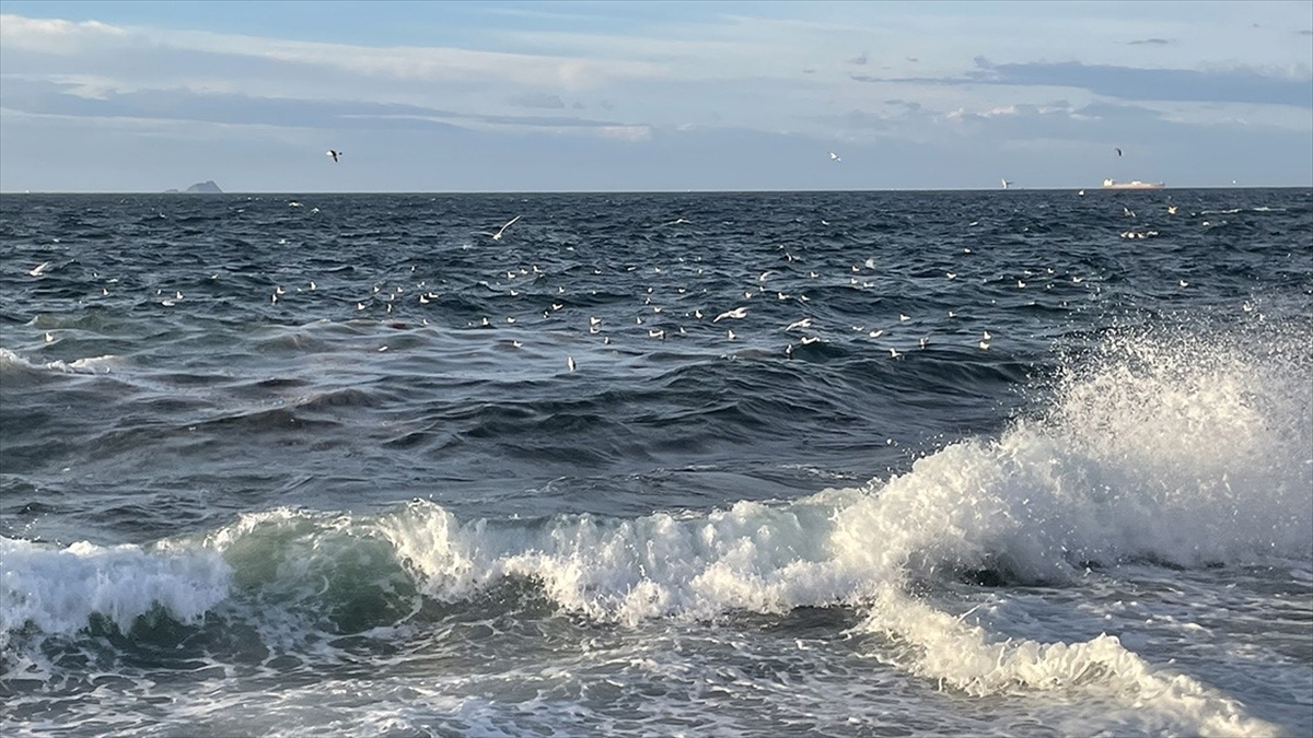 İstanbul'da Vapur Seferlerine Lodos Engeli