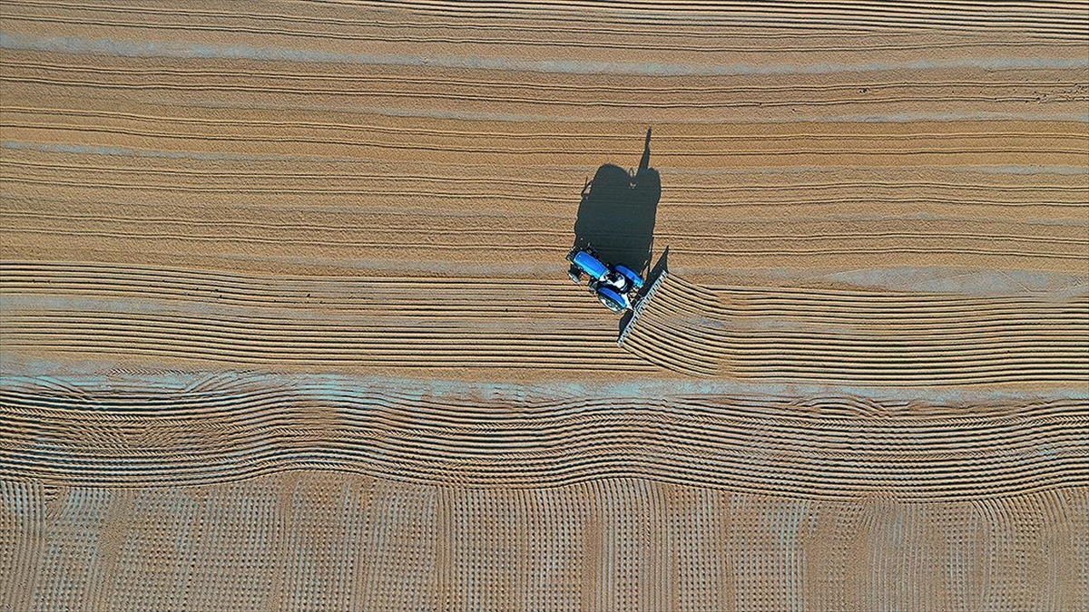 Tarım Sektöründen İhracatta Ocak Rekoru