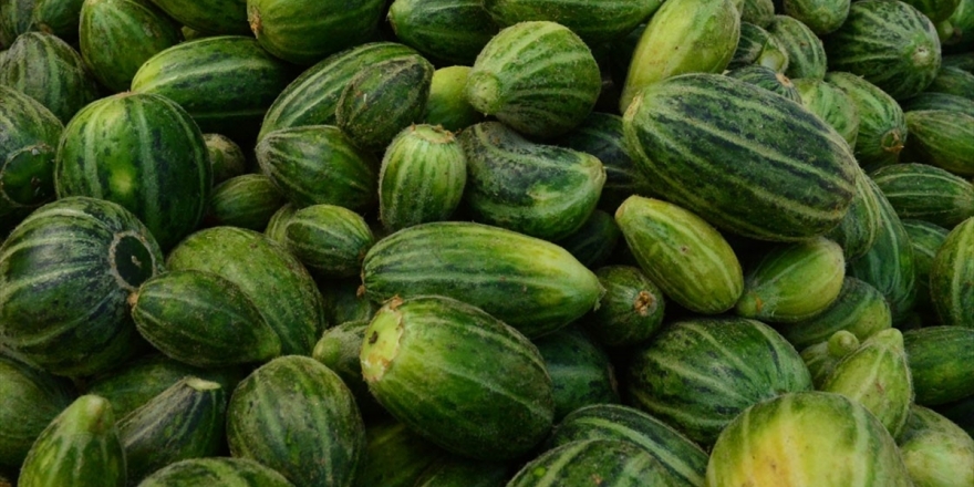 Dışı Karpuza İçi Kavuna Tadı Salatalığa Benziyor