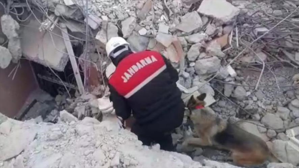 Jandarmanın Dedektör Köpeğinin Yardımıyla Enkazlarda 6 Cenazeye Ulaşıldı