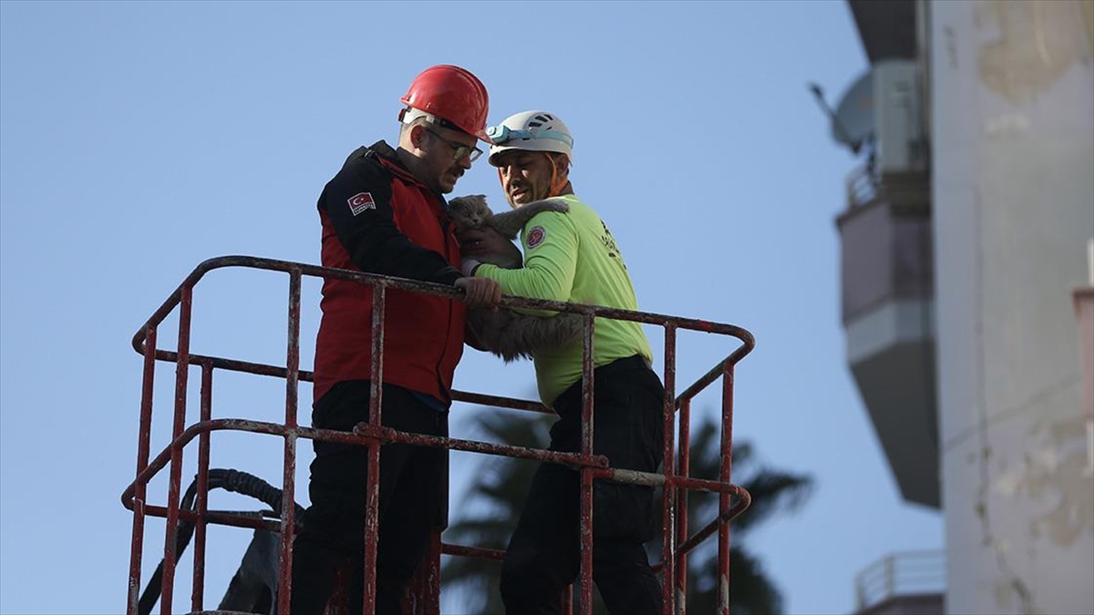 Enkazda İnsanlara Umut Olan Ekipler, Binada Mahsur Kalan Kediye Yardım Eli Uzattı