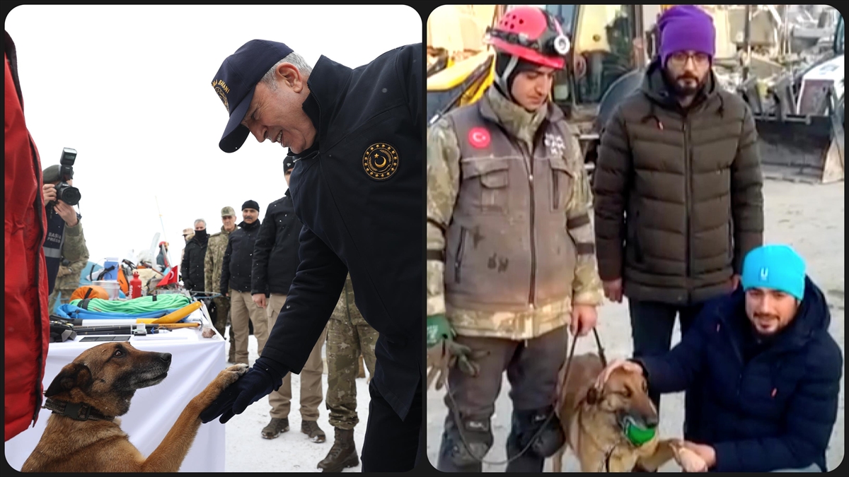 Arama-kurtarma Köpeği Sıla, Malatya'daki Enkazlardan 12 Kişinin Kurtarılmasını Sağladı