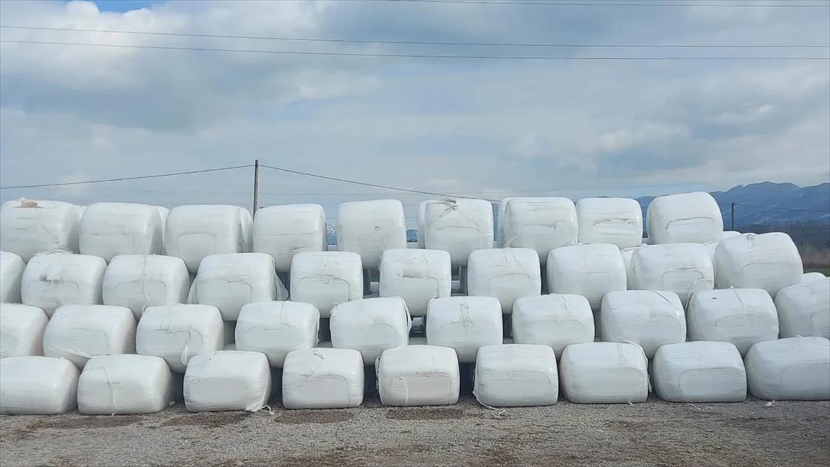 Deprem Bölgesinde Hayvan Yemi Dağıtımı Sürüyor