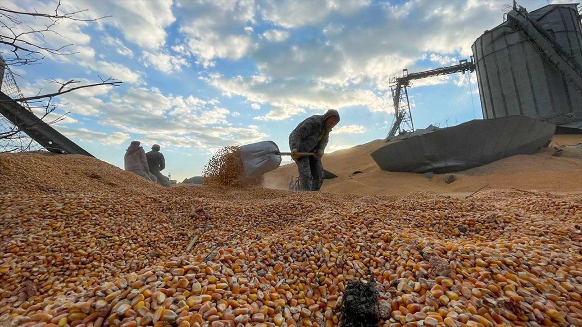 Nurdağı'nda Deprem Nedeniyle Mısır Ve Buğday Siloları Da Hasar Gördü