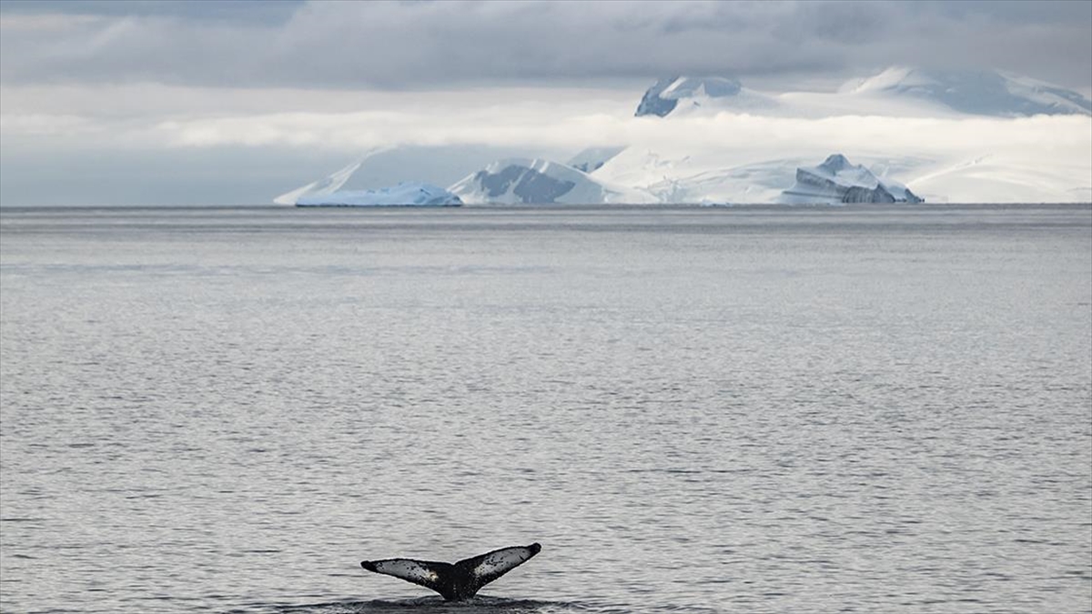 Antarktika'daki Kıyamet Buzulu'nun Çatlaklarına Sızan Sıcak Su Erimeyi Hızlandırıyor