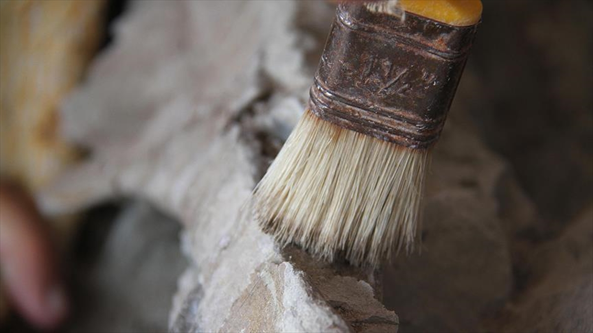 Suudi Arabistan'da İslamiyet Öncesi Döneme Ait Bronz Bir "Boğa Başı" Bulundu