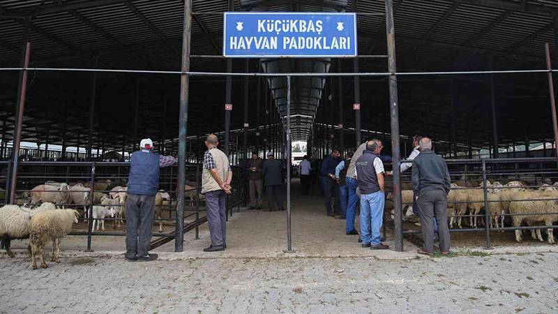 Kütahya'da şap hastalığı nedeniyle hayvan pazarları kapatıldı