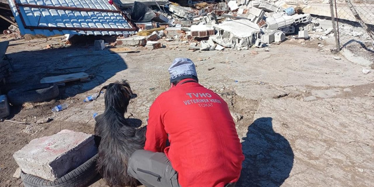 O Bakanlığının Bazı Mal Ve Hizmetleri Ücretsiz Verilecek