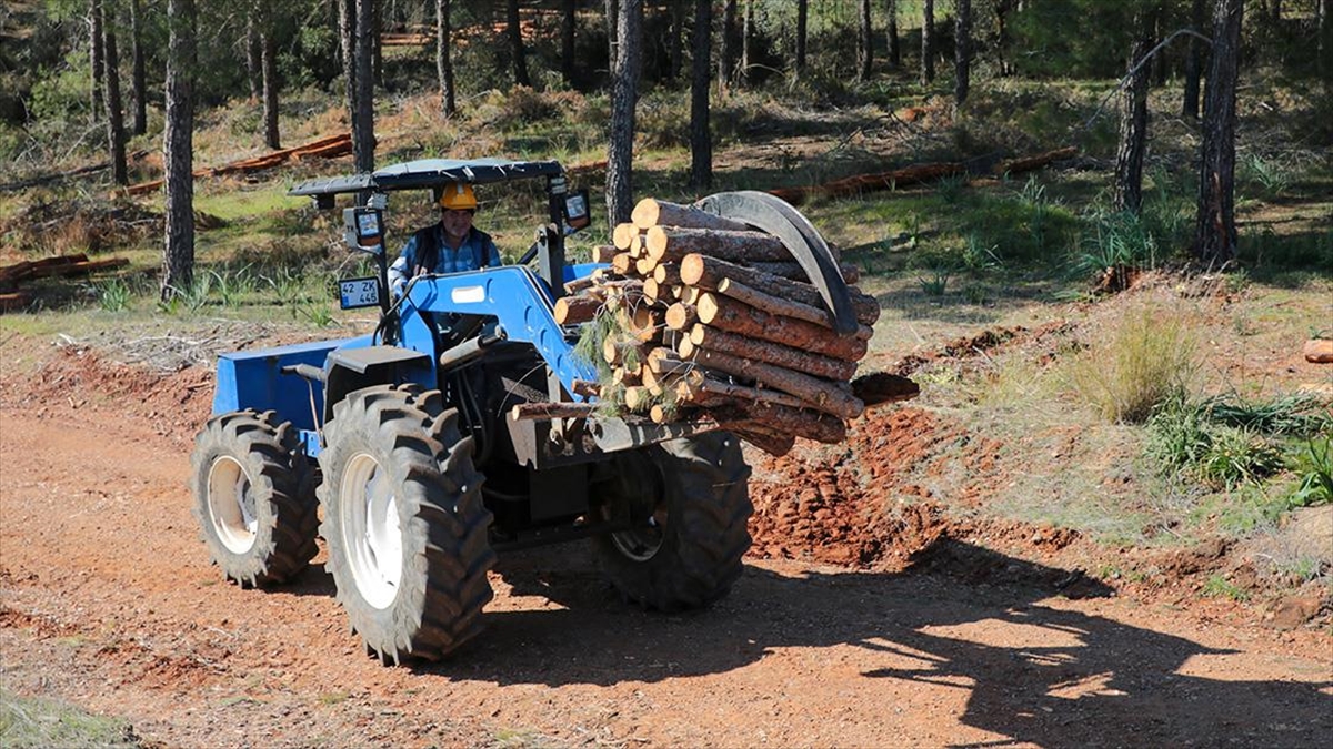 Antalya'daki Orman Yangınından Geriye Kalan Kütükler Depremzedeleri Isıtacak