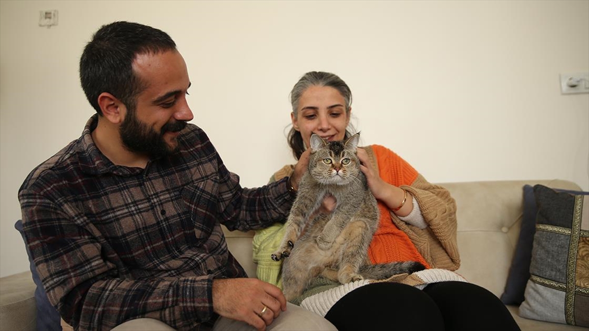 Depremde Ağır Hasar Gören Siteden 16 Gün Sonra Kurtarılan Kedileri "pablo"ya Kavuştular