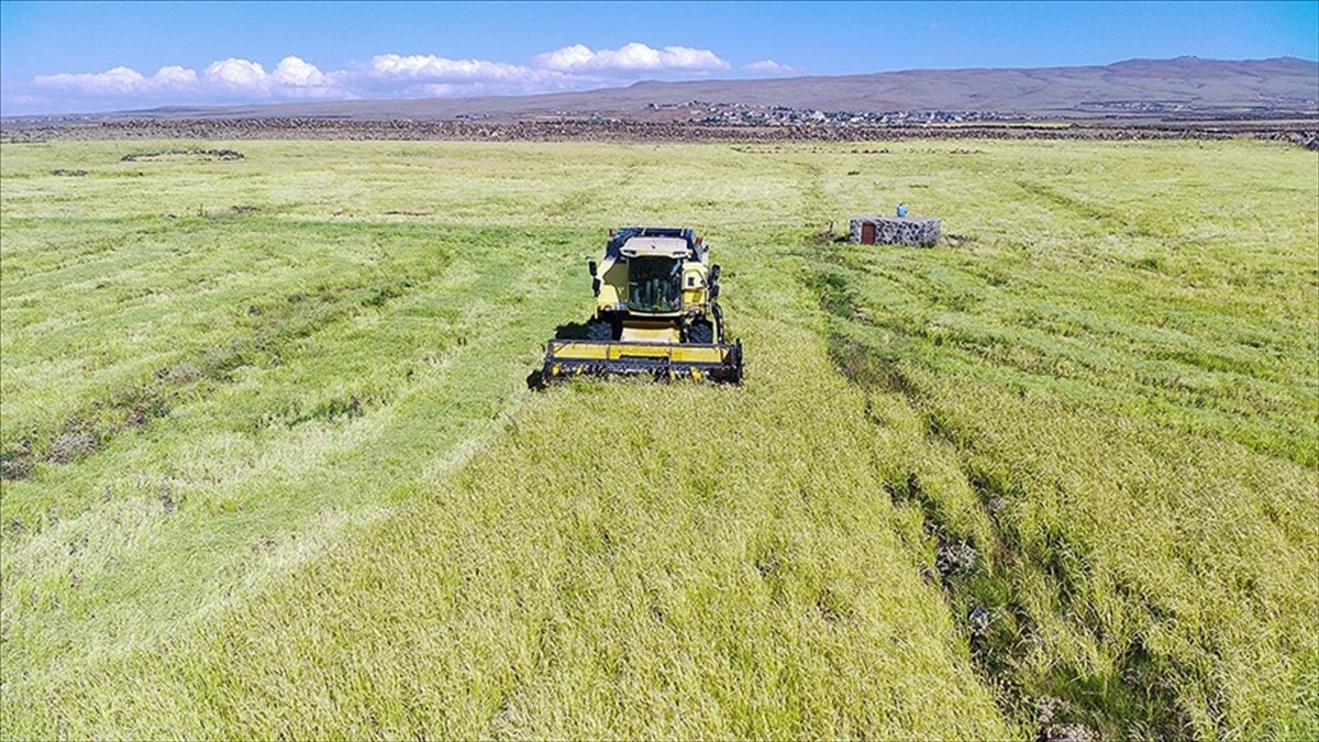 Destek Ödemeleri Kapsamında 13 Milyar 836 Milyon Lira Çiftçilerin Hesaplarına Yatırılacak