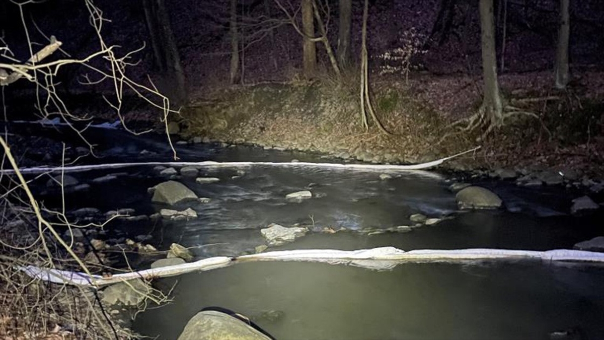 Abd'de Tren Kazasının Yaşandığı Alanda 43 Binden Fazla Su Canlısı Öldü