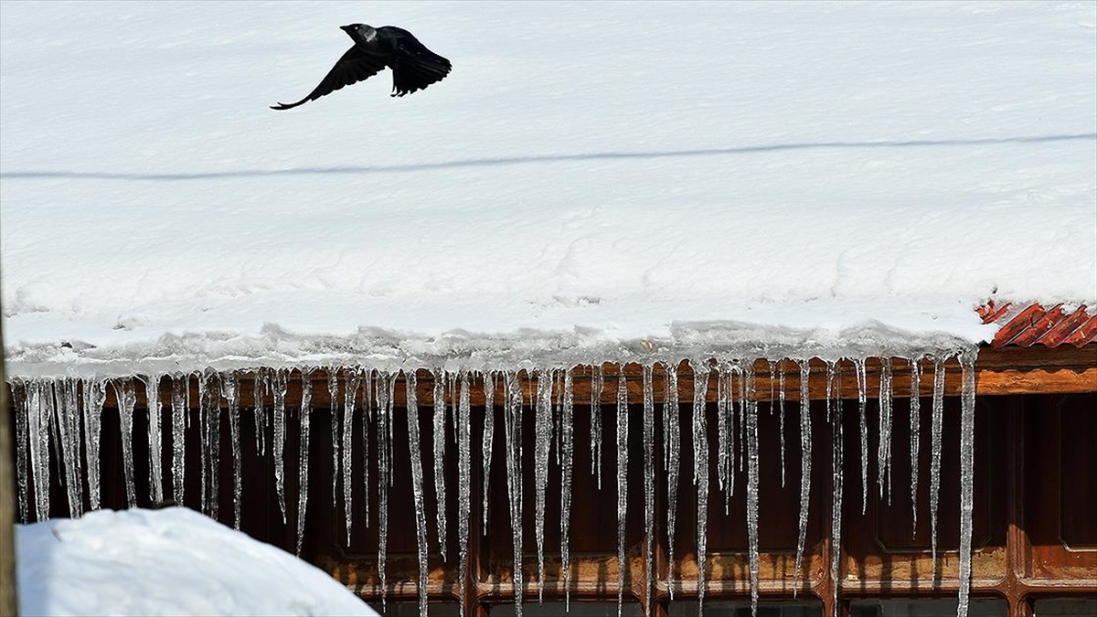 Doğu Anadolu'da Gece En Düşük Sıcaklık Eksi 26 Dereceyle Ardahan'da Ölçüldü
