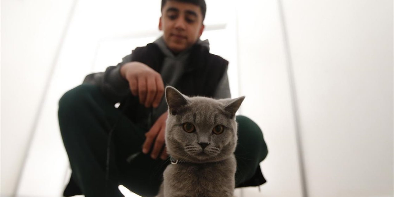 Çadır Kent Evcil Hayvanlara Da "yuva" Oldu