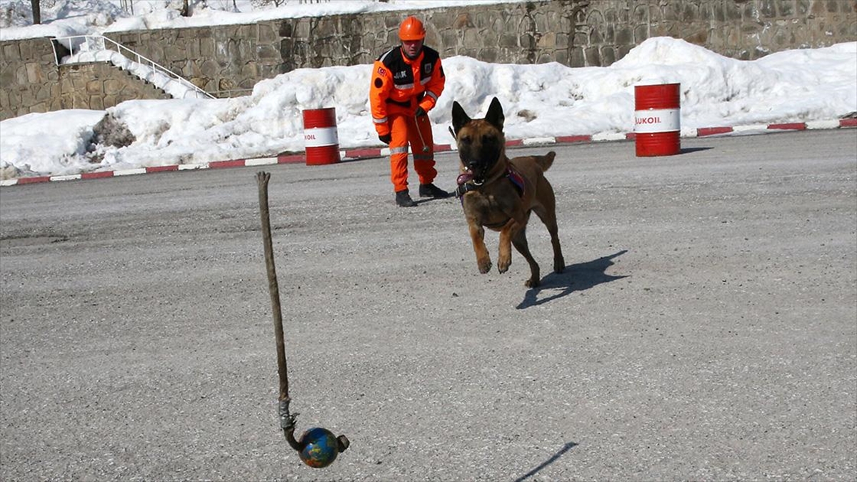 Mucize Kurtuluşlarda Yer Alan "Zayıf" Deprem Bölgesindeki Görevini Tamamladı