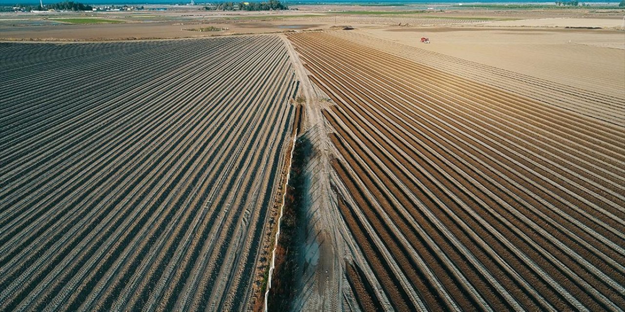 Tarsim'e Taahhüt Edilecek! Prim Oranları Belli Oldu