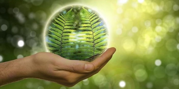 Avustralyalı Bilim İnsanları Hidrojenden Elektrik Üretebilen Enzim Buldu