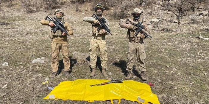 Kırmızı Kategoride Aranan Terörist Hamiyet Yalçınkaya Etkisiz Hale Getirildi