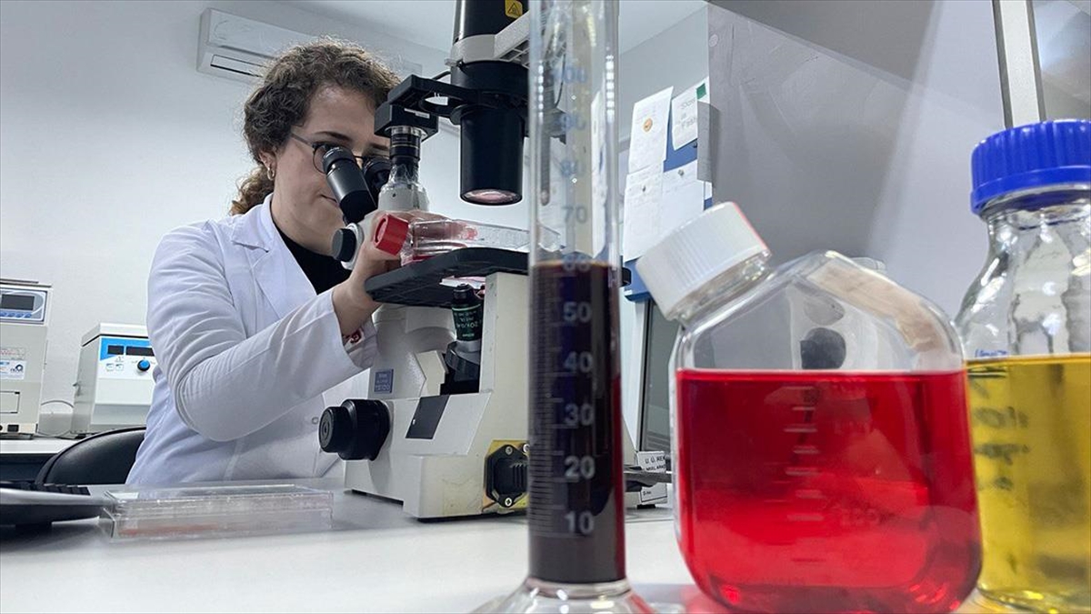 Hayvanlarda Görülen Şap Hastalığı İnsan Sağlığı İçin Risk Oluşturmuyor