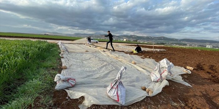 Adıyamanlı Depremzede Çiftçiler, Tütün Ekimine Başladı