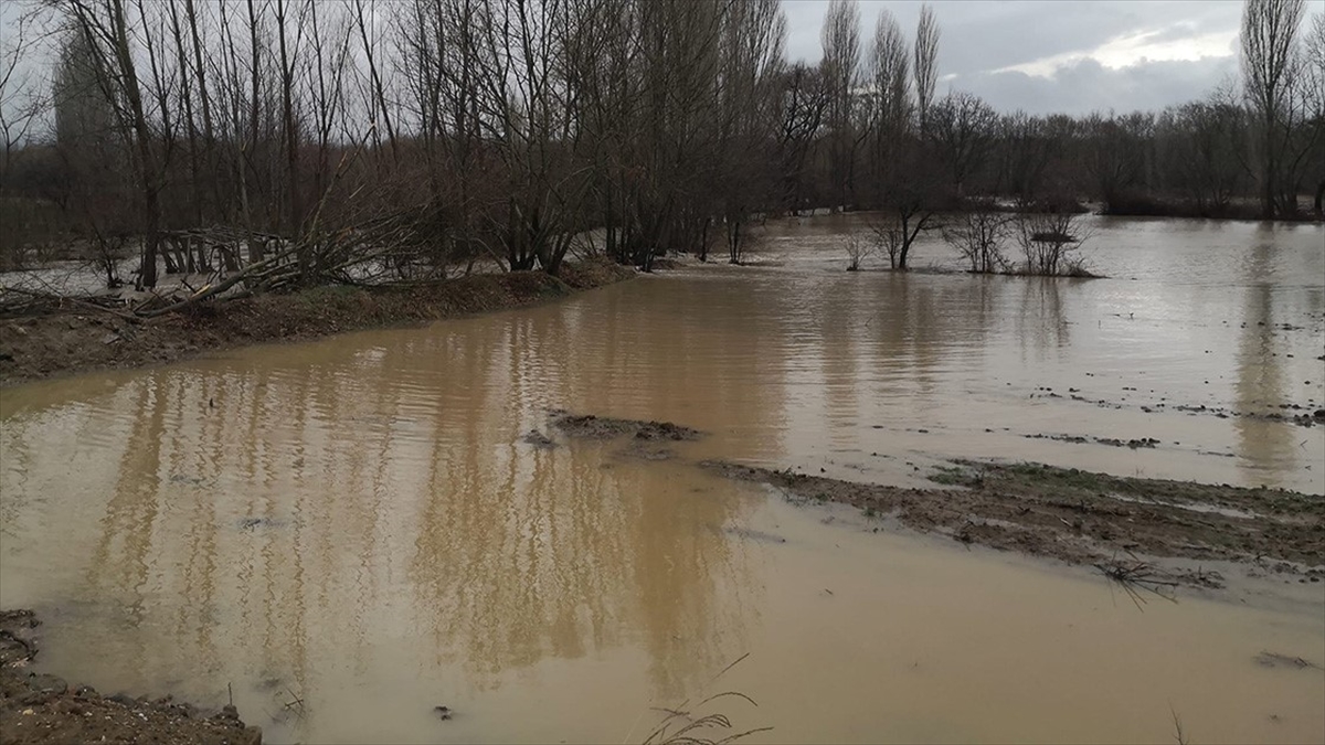 Kütahya'da Kuvvetli Sağanak 1850 Dekar Ekili Tarım Arazisine Zarar Verdi