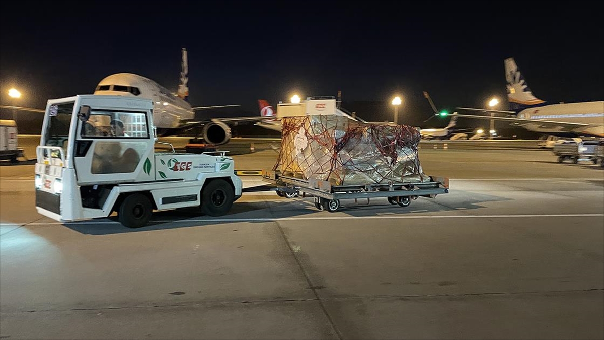 Abd'de Ele Geçirilen 12 Tarihi Eser, Antalya'ya Getirildi