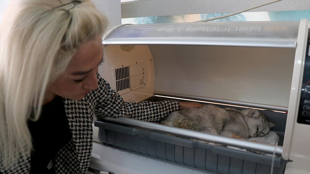 Kahramanmaraş'ta Enkaz Altında Kalan Kediye Depremden 49 Gün Sonra Ulaşıldı